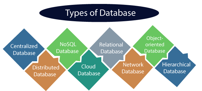 assignment on database and its types