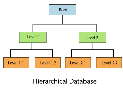 database users in dbms javatpoint