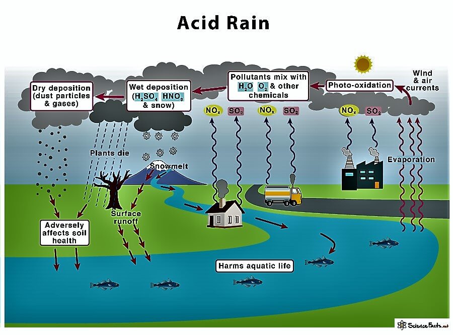 Acid rain Cut Out Stock Images & Pictures - Alamy