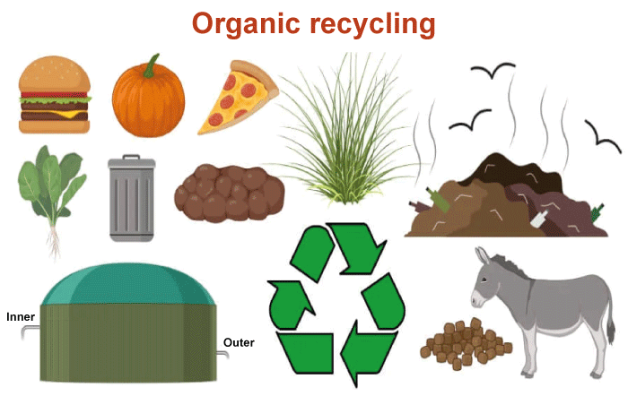 Biodegradable Definition