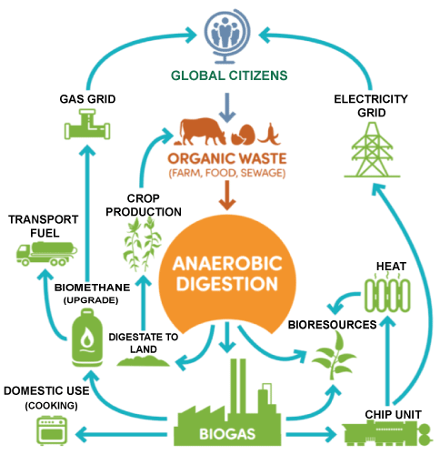 Biogas Definition