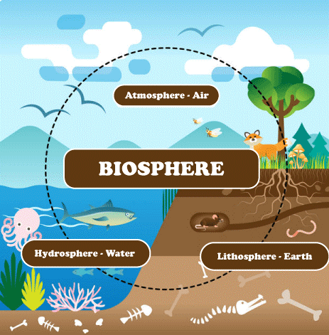 Biosphere Definition