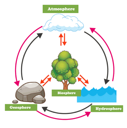 Biosphere Definition