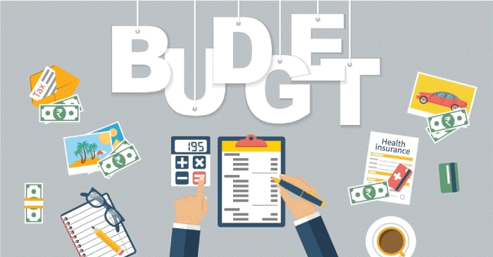 Budget Definition