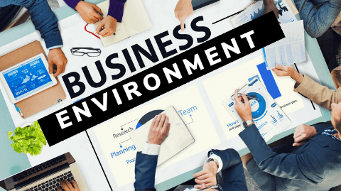 Business Environment Definition