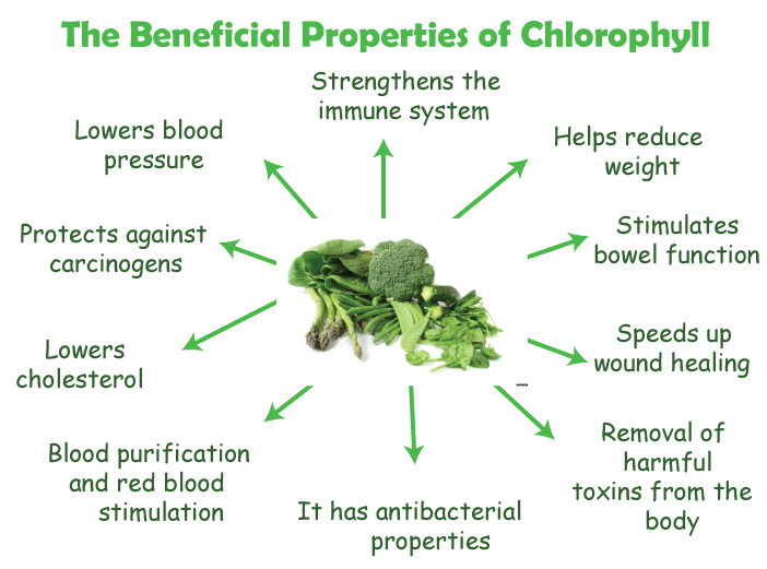 Chlorophyll Definition