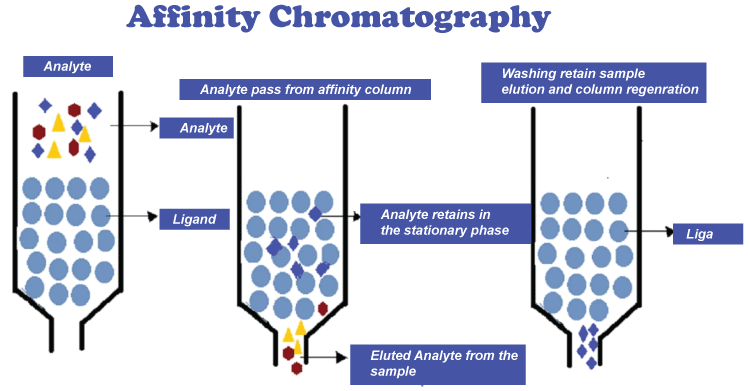 Chromatography Definition