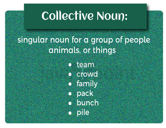 English Unite - Collective Noun - Lions