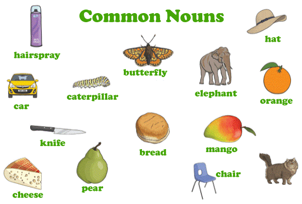 Common Noun Definition