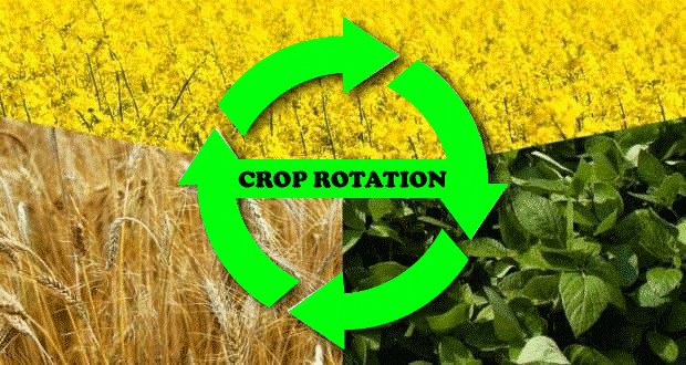 Crop Rotation Definition