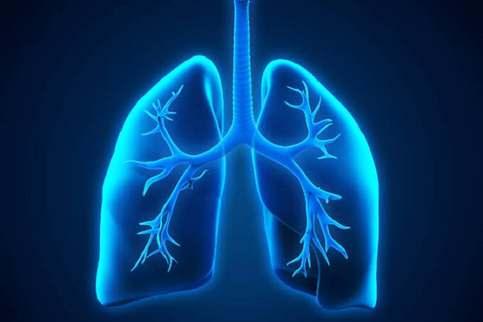Emphysema Definition