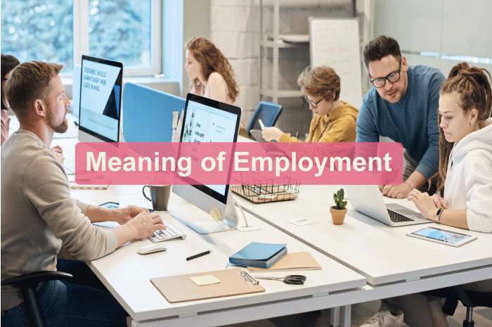 Employment Definition
