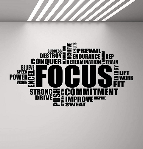 Focus Definition