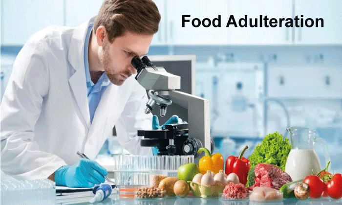 Food Adulteration Definition