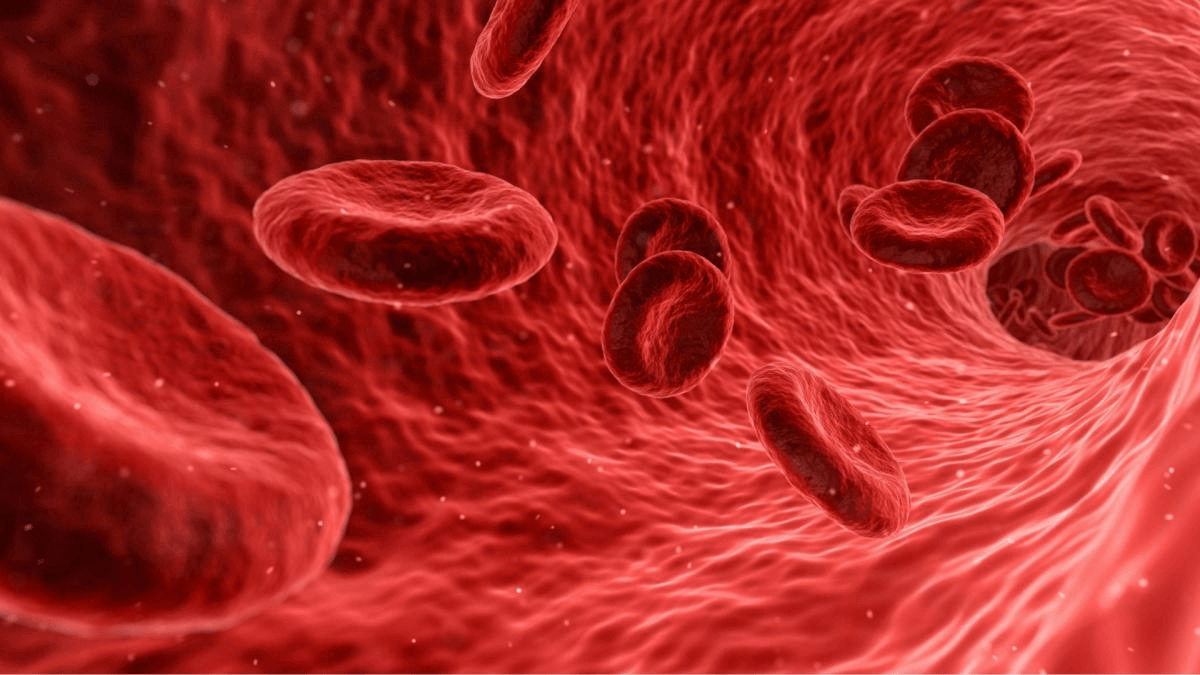 Haemoglobin Definition