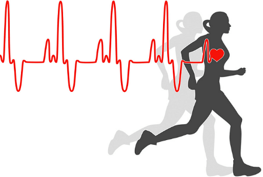 Heart Rate Definition