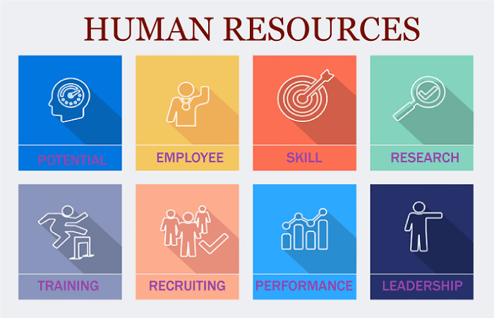 Human Resource Management Definition