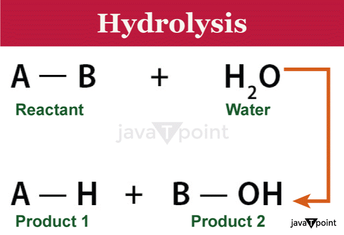 Hydrolysis Definition