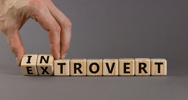 Introvert Definition