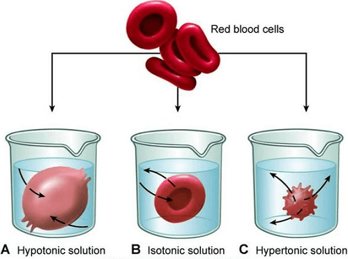 Isotonic Solution Definition