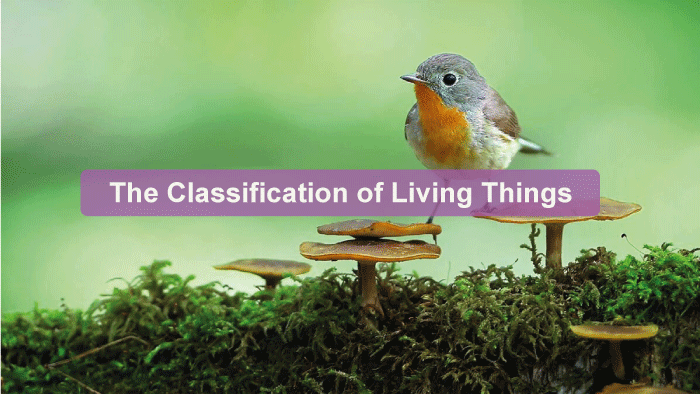 Living Things Definition