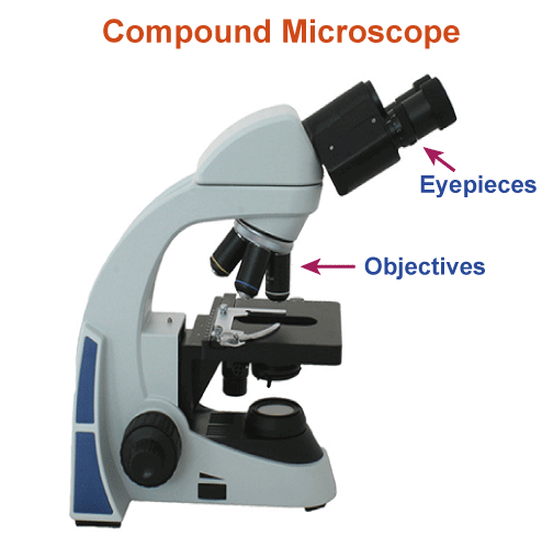 Microscope Definition
