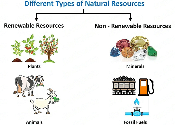 Nature Definition