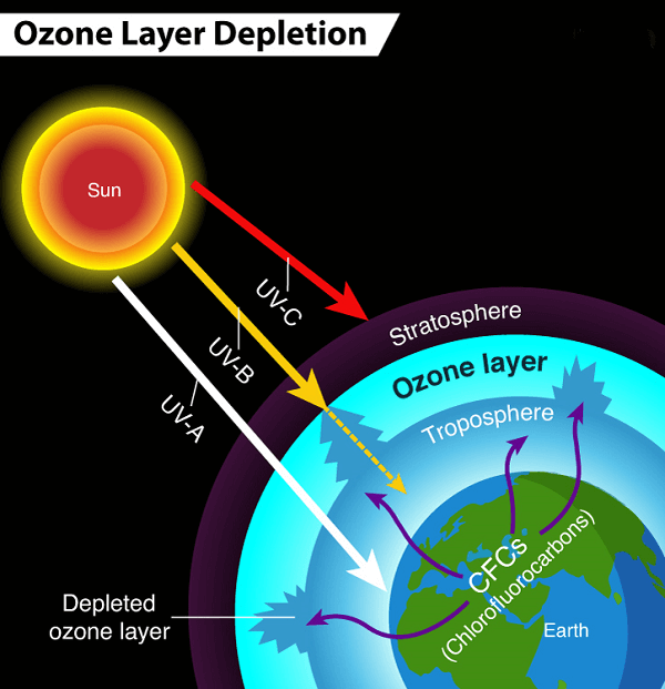 Ozone Layer Definition