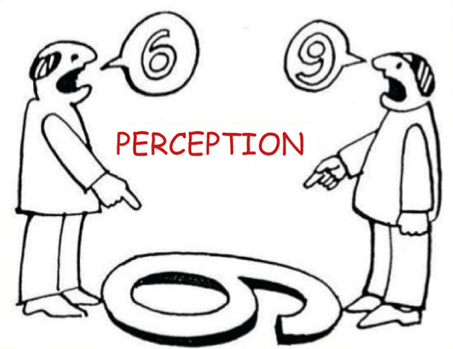 Perception Definition