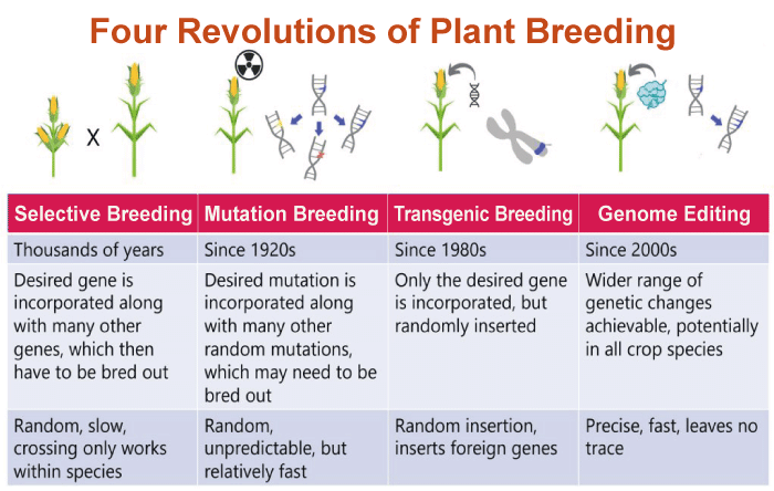 Plant Breeding Definition
