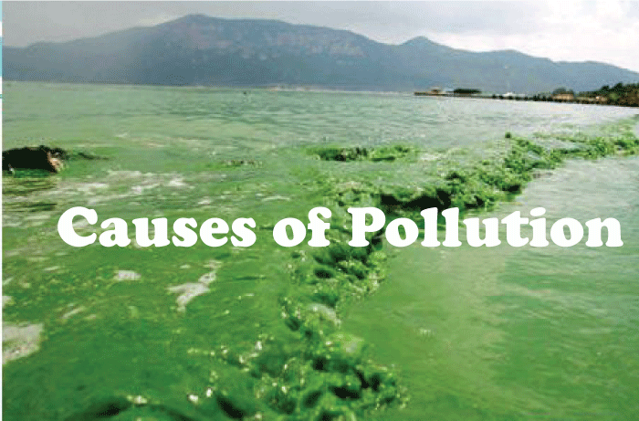 Pollution Definition