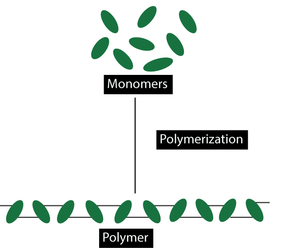 Polymerization Definition