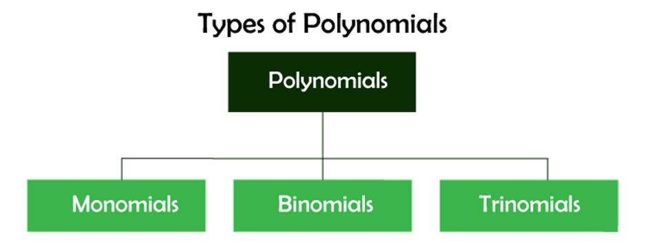 Polynomial Definition