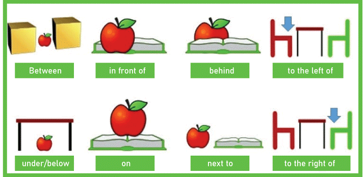 Preposition Definition and Examples
