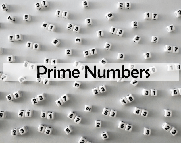Prime Number Definition