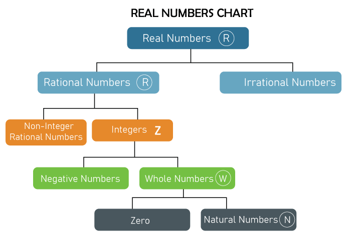 Real Number Definition and Examples