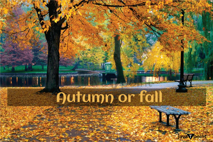 Autumn Season - Javatpoint