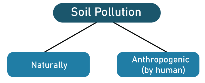 Soil pollution definition