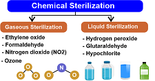 Sterilization Definition