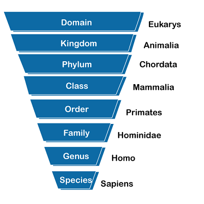 Taxonomy Definition
