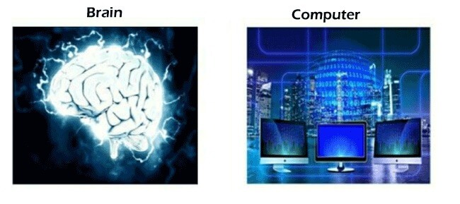 Difference Between Brain and Computer