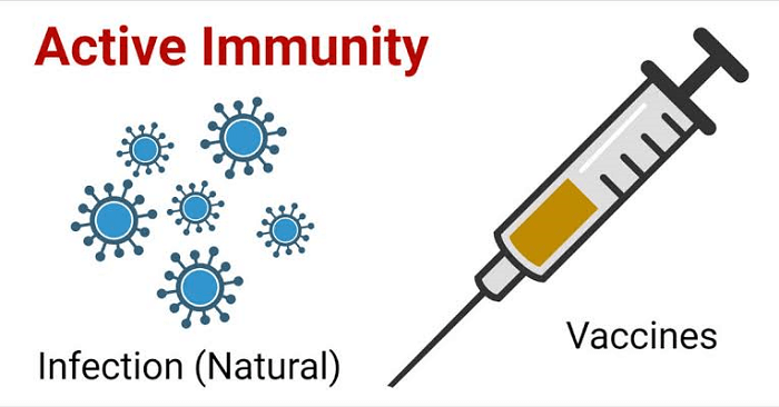Difference between Active and Passive Immunity