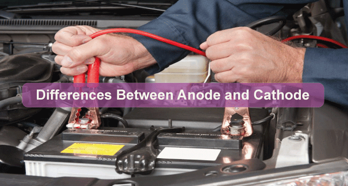Differences Between Anode and Cathode