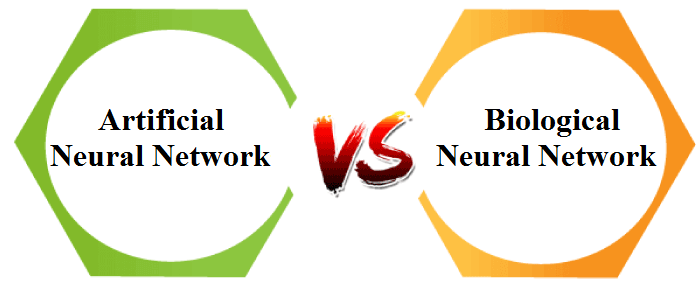 Difference between Artificial Neural Network and Biological Neural Network