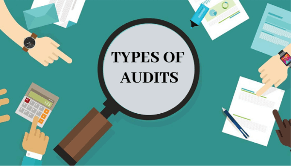 Difference Between Auditing and Investigation