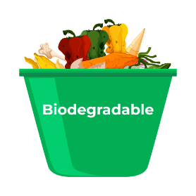 Difference between Biodegradable and Non-Biodegradable