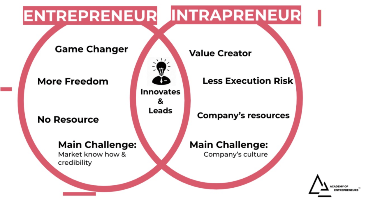 Difference Between Entrepreneur and Intrapreneur