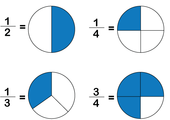 Difference Between Fraction and Rational Number