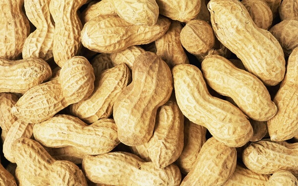 Difference Between Groundnut and Peanut