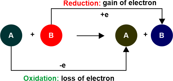Difference Between Oxidation and Reduction